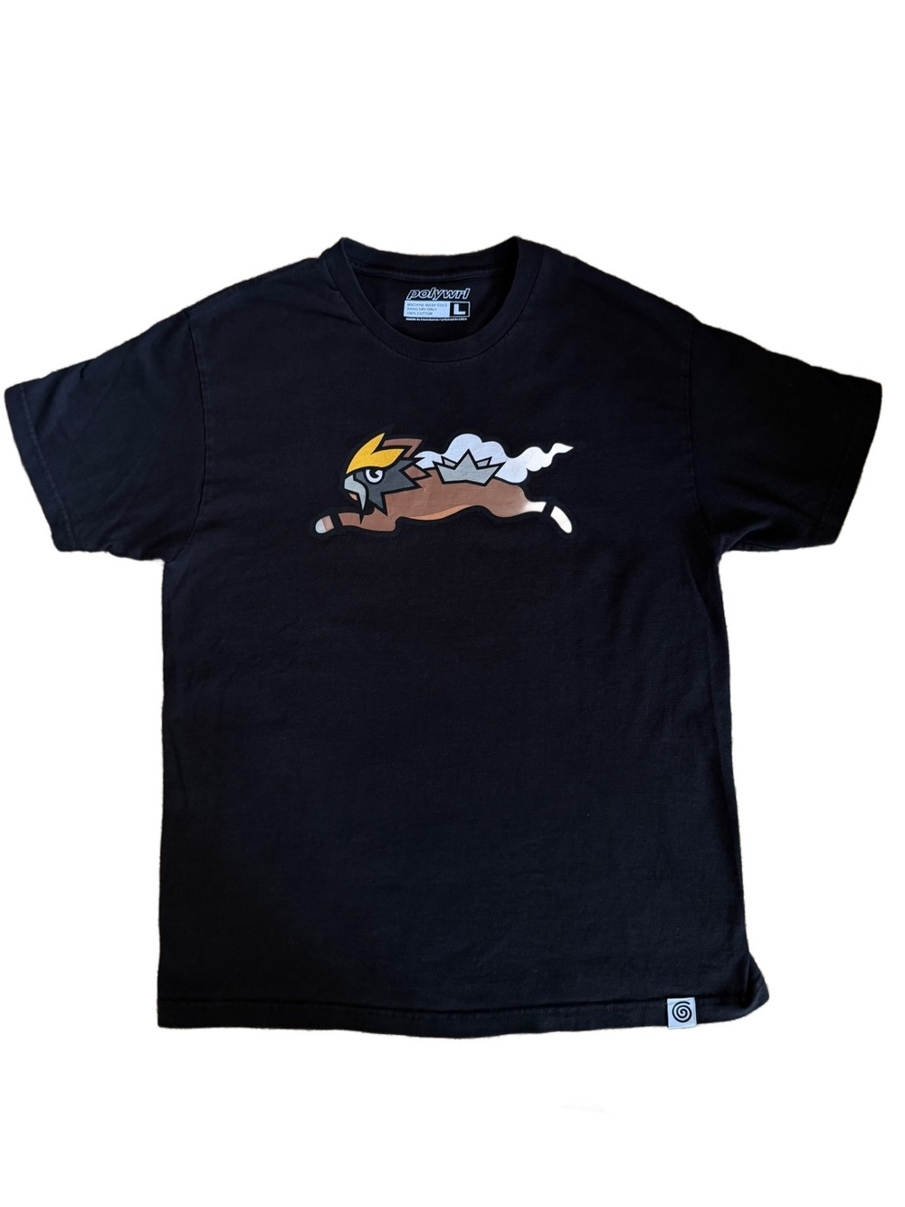 polywrl Raikou Legendary Dog Graphic Tshirt Black Large Pokémon Anime Streetwear